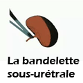 actualit&eacute;s incontinence