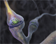 incontinence question sur la prostate