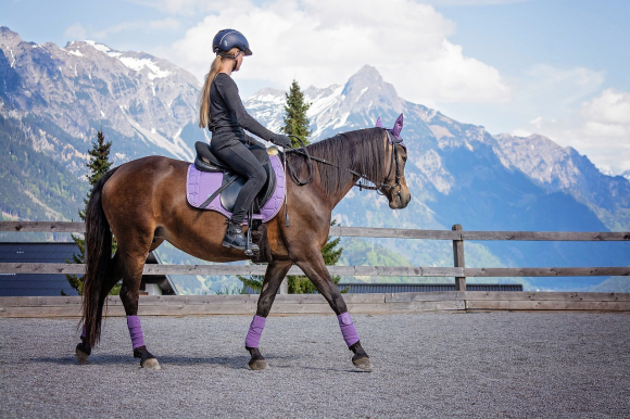 Fuites urinaires et pratique de l’équitation : tous nos conseils